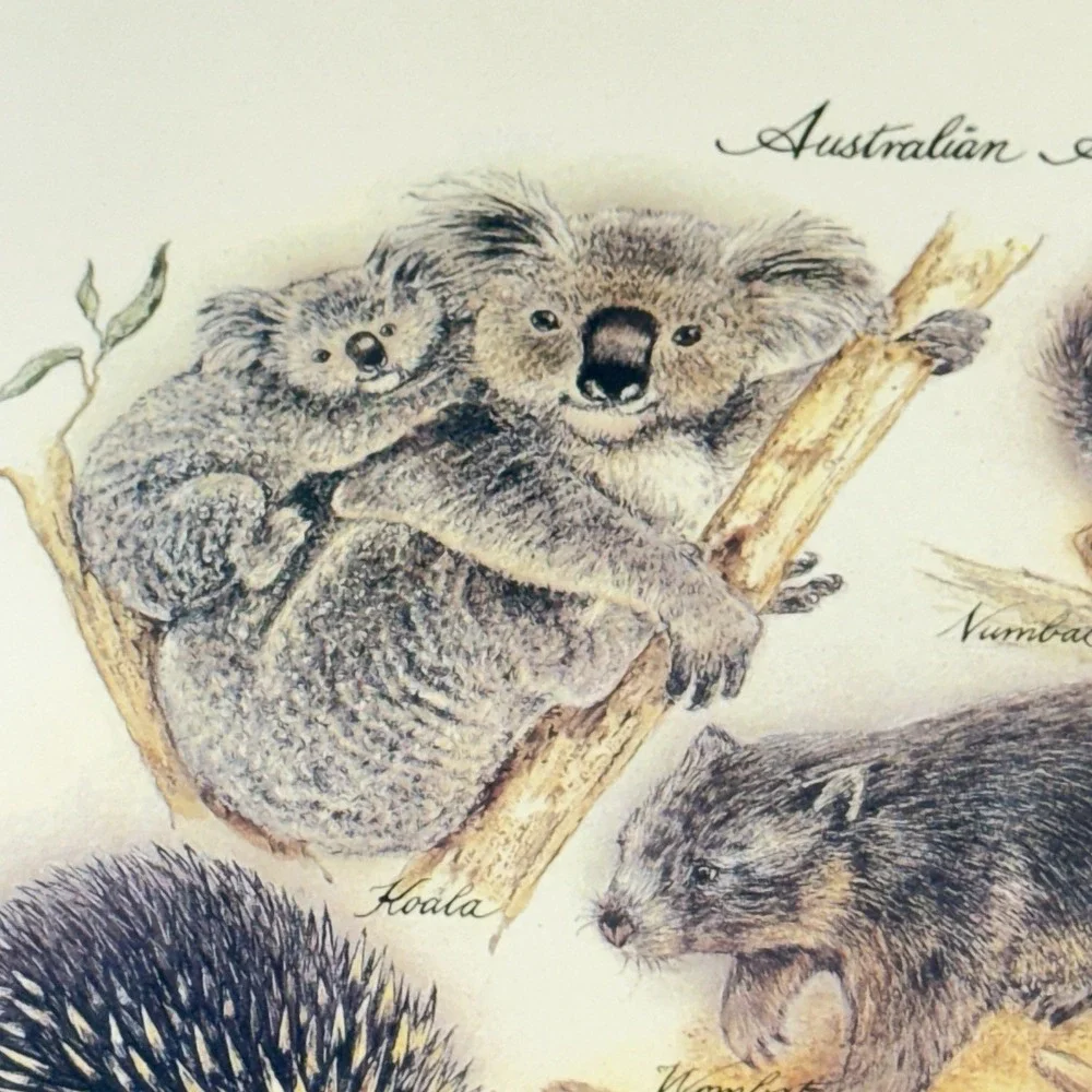 Vintage New Australian Collection (6) Corked Back Placemats Australian‎ Animals